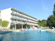 ���� ����� ���� ������