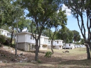 �������� �������, ��������