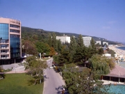 ����� ����� ������ ������