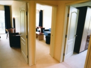 ����� ����� ����