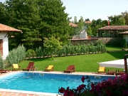 ������ ������