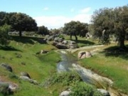 �������� �����