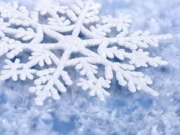 ����� ��������