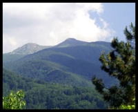 Bulgarie en directe (infos du jour) - Berkovitsa, une belle nature et une riche histoire 