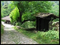 Bojenci