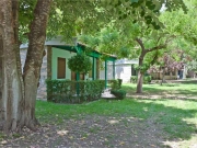 ������ ��������